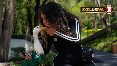 "¿Qué culpa tiene mi bebé?": dueña del Pato Merlín acusa de politización en su caso