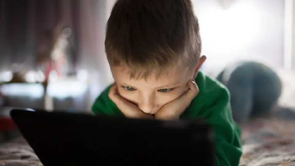 Los agresores pueden aprovechar el anonimato de internet para ocultar su verdadera identidad / Magnific