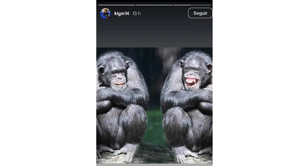 CAPTURA DE PANTALLA