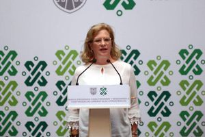 Titular de Semarnart presentó renuncia a AMLO tras retrasar vuelo comercial