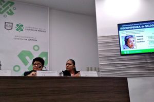 Ofrecen millonaria recompensa para localizar a la dueña del Rebsamen