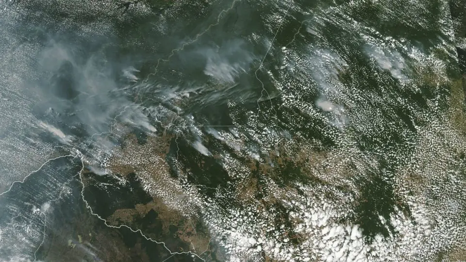 Incendios forestales en el Amazonas crecen de forma acelerada