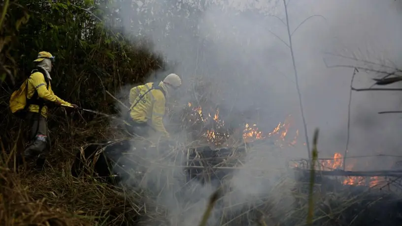 África registró más incendios que la Amazonia