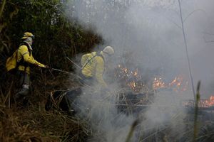 África registró más incendios que la Amazonia