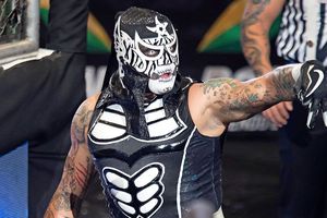 Diputados aprueban el Día Nacional de la Lucha Libre