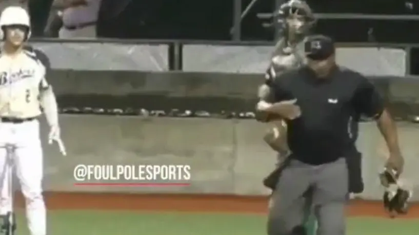 Umpire detiene juego de ligas menores para vomitar en el campo