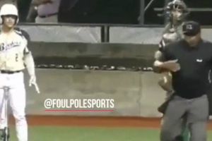 Umpire detiene juego de ligas menores para vomitar en el campo