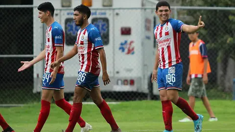 Chivas domina a placer las categorías inferiores en el Apertura 2019