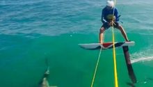 Surfista choca con un tiburón mientras practicaba en mar abierto