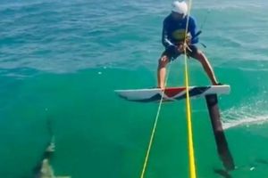 Surfista choca con un tiburón mientras practicaba en mar abierto