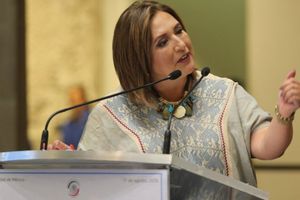 Senadora del PAN se vuelve tendencia en redes como #LadyCaca