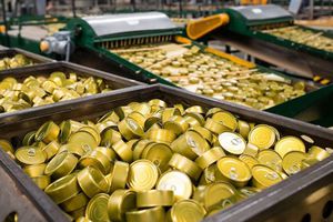 'Soya en el atún no es mala, pero se debe regular su cantidad': Expertos