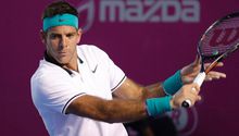 Del Potro, fuera del Abierto de Acapulco por lesión
