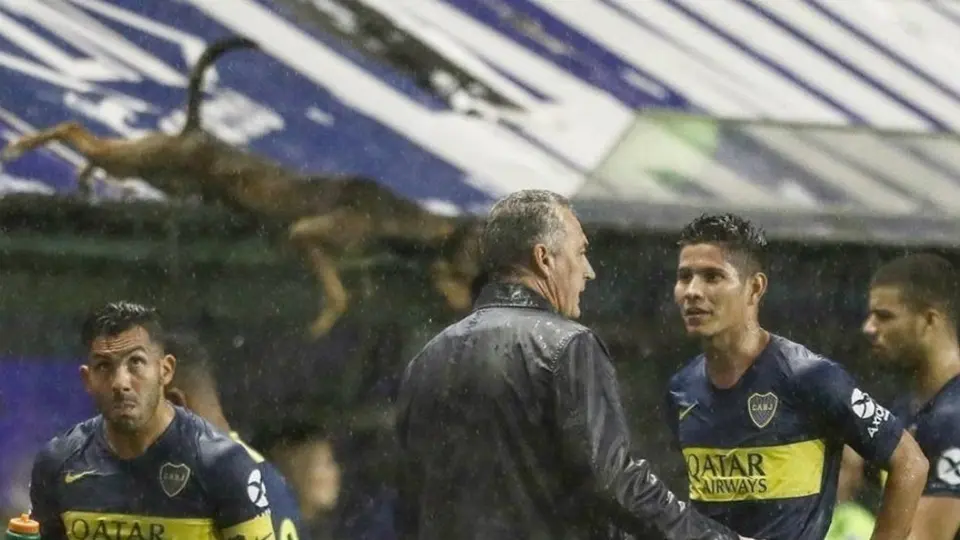 Perro 'salta' a la fama al meterse al campo de la Bombonera
