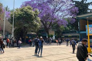 Bala que provocó muerte de alumna de CCH sobrepasó cuatro edificios