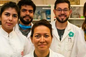 Científicos del IPN lograron eliminar al 100 por ciento el Virus del Papiloma Humano