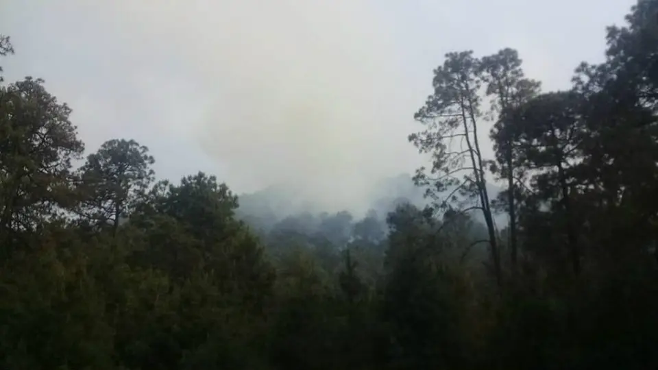 Se activa contingencia ambiental por ozono