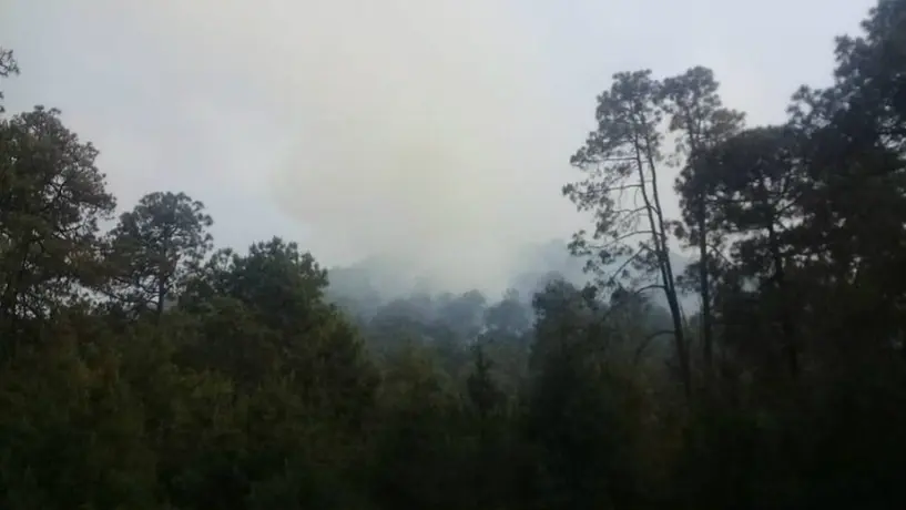 Se activa contingencia ambiental por ozono
