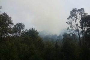 Se activa contingencia ambiental por ozono