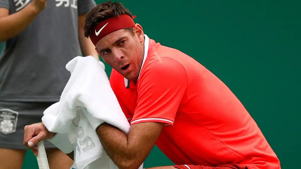 Juan Martín del Potro, en duda para el Abierto Mexicano