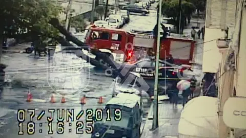 Fuerte lluvia y viento tiran árboles en diferentes alcaldías de la CDMX