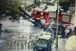 Fuerte lluvia y viento tiran árboles en diferentes alcaldías de la CDMX