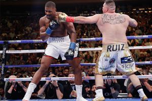 Canelo defendió a Andy Ruiz de detractor en Twitter