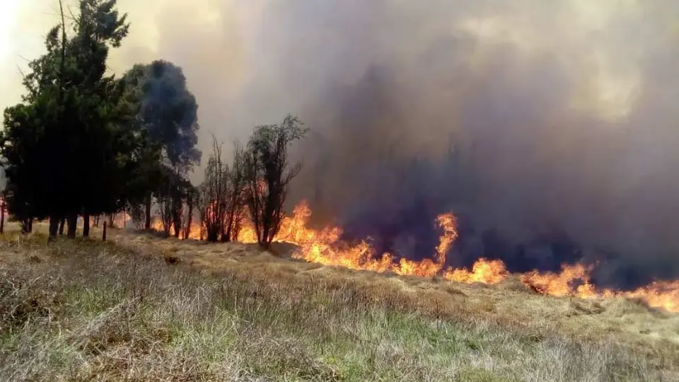Incendio en Xochimilco afectó más de 40 hectáreas de pastizales
