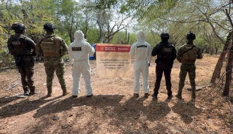 Autoridades aseguran 100 kilos de droga en Sinaloa  / @GabSeguridadMX