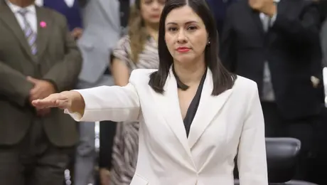 ¿Quién es Blanca Yassahara Cruz García, la mujer que reemplaza a Guadalupe Taddei en el INE?