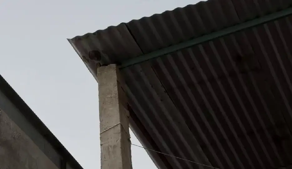 Protección Civil activó protocolos para revisar posibles afectaciones / Captura de pantalla