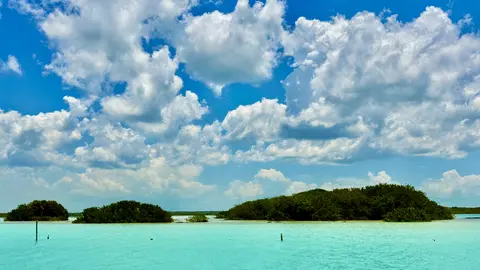 Bacalar | RÉCORD