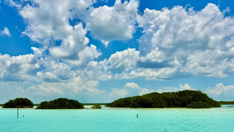 Bacalar | RÉCORD