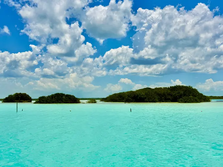 Bacalar | RÉCORD