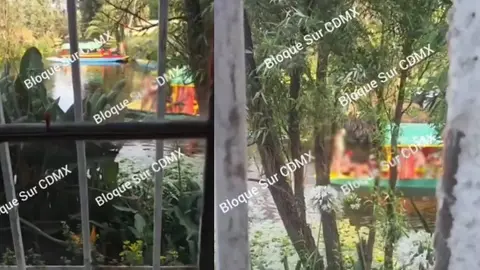 Un vecino de Xochimilco captó a turistas paseando desnudos en una trajinera/X: @BloqueSurCDMX
