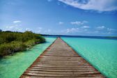 Bacalar | RÉCORD