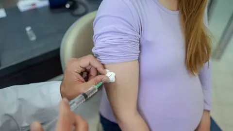 Mujeres embarazadas pueden recibir la vacuna gratis, sin necesidad de ser derechohabientes./ Pixabay