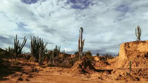 El Niño Godzilla prevén que azote más fuerte este año / Magnific