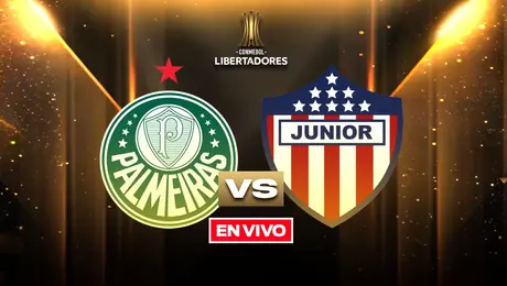 Palmeiras vs Junior Copa Libertadores Jornada 6