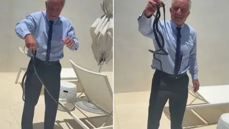 Robert F. Kennedy Jr. atrapa serpientes con las manos y se vuelve viral /  VIDEO