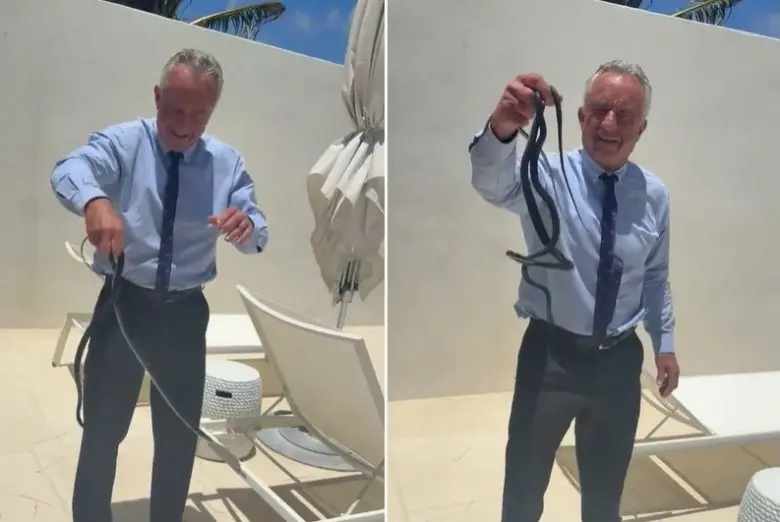 Robert F. Kennedy Jr. atrapa serpientes con las manos y se vuelve viral / RS
