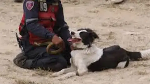 Jorge Beens entrenó a Tsunami en el Centro de Formación de Equipos Caninos de Intervención en Desastres (K-Sar Ecid)./ RS