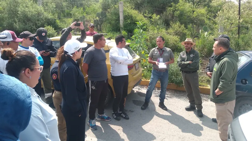 Ocho drones con cámaras térmicas fueron utilizados para ubicar al tigre entre una zona de arbustos y nopaleras./ X: @pciviledomex