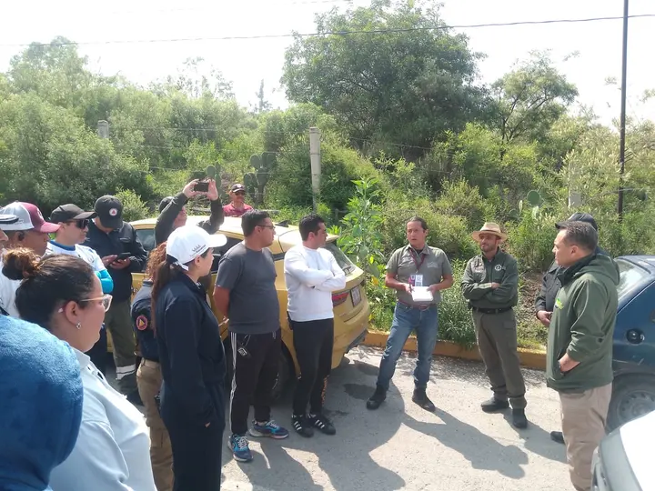 Ocho drones con cámaras térmicas fueron utilizados para ubicar al tigre entre una zona de arbustos y nopaleras./ X: @pciviledomex