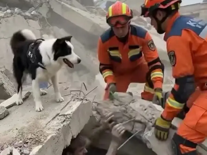 El trabajo de Tsunami lo ha convertido en uno de los símbolos de esperanza durante la emergencia en Venezuela.