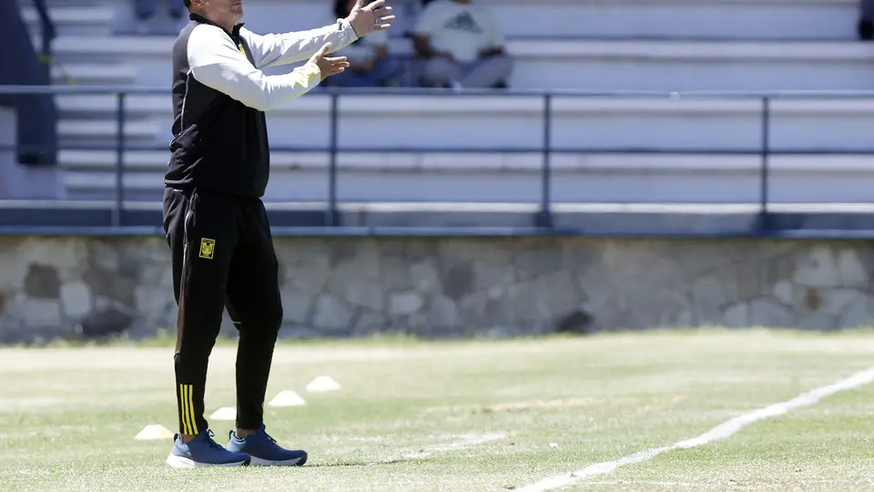 Carlos Turrubiates, segundo entrenador de Tigres | IMAGO7
