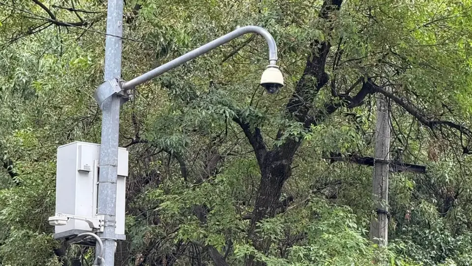 Los sistemas ANPR permiten identificar automáticamente las placas de los automóviles que circulan por la CDMX./Especial
