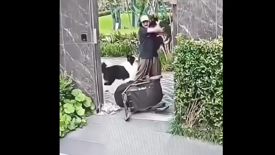 En las imágenes se observa a la mujer sujetando a su perro mientras la carriola donde viajaba su bebé queda volcada. / Captura
