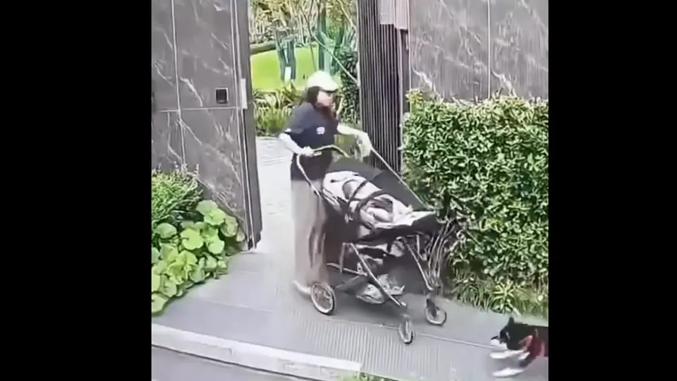 La mujer salia de un inmueble cuando otro perro se acercó. / Captura