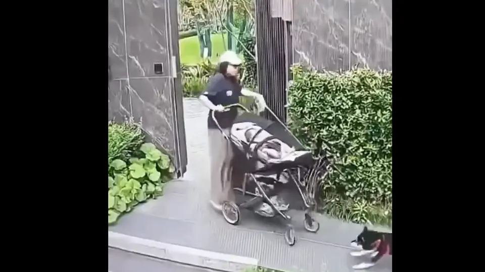La mujer salia de un inmueble cuando otro perro se acercó. / Captura